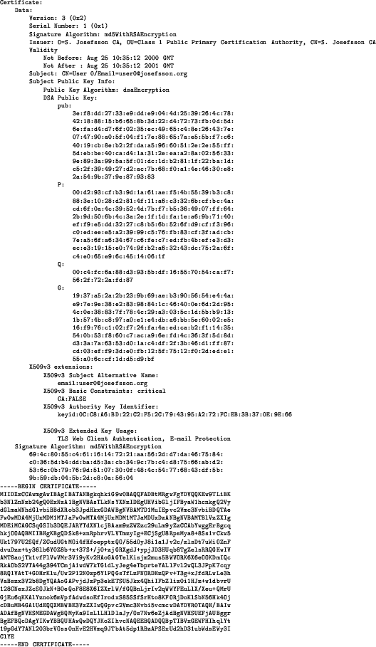 \begin{figure}\begin{center}
\tiny\begin{verbatim}Certificate:
Data:
Version...
...1ubWdsEWy3I
ClYE
-----END CERTIFICATE-----\end{verbatim}\end{center}\end{figure}