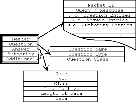 \includegraphics[width=\textwidth]{dns}